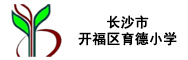 合作学校 / 机构